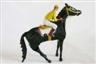 caballo_jockey